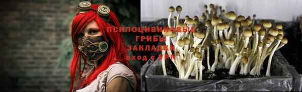 mdma Покров