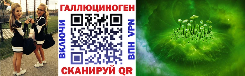 Галлюциногенные грибы Psilocybe  Великие Луки 