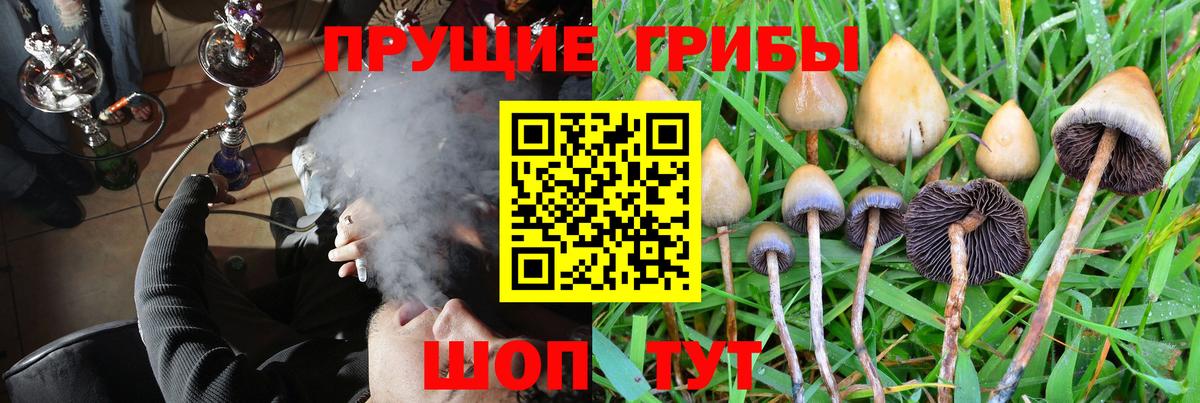 где купить наркоту  Галлюциногенные грибы Magic Shrooms  Вход с VPN  Великие Луки 