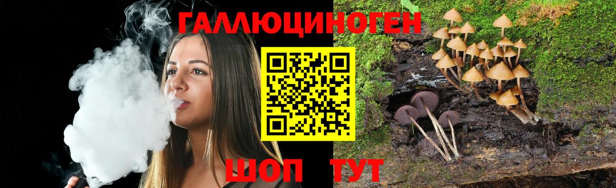 Галлюциногенные грибы MAGIC MUSHROOMS Великие Луки